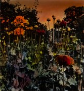 Untitled (Landscape with poppies)  - Details